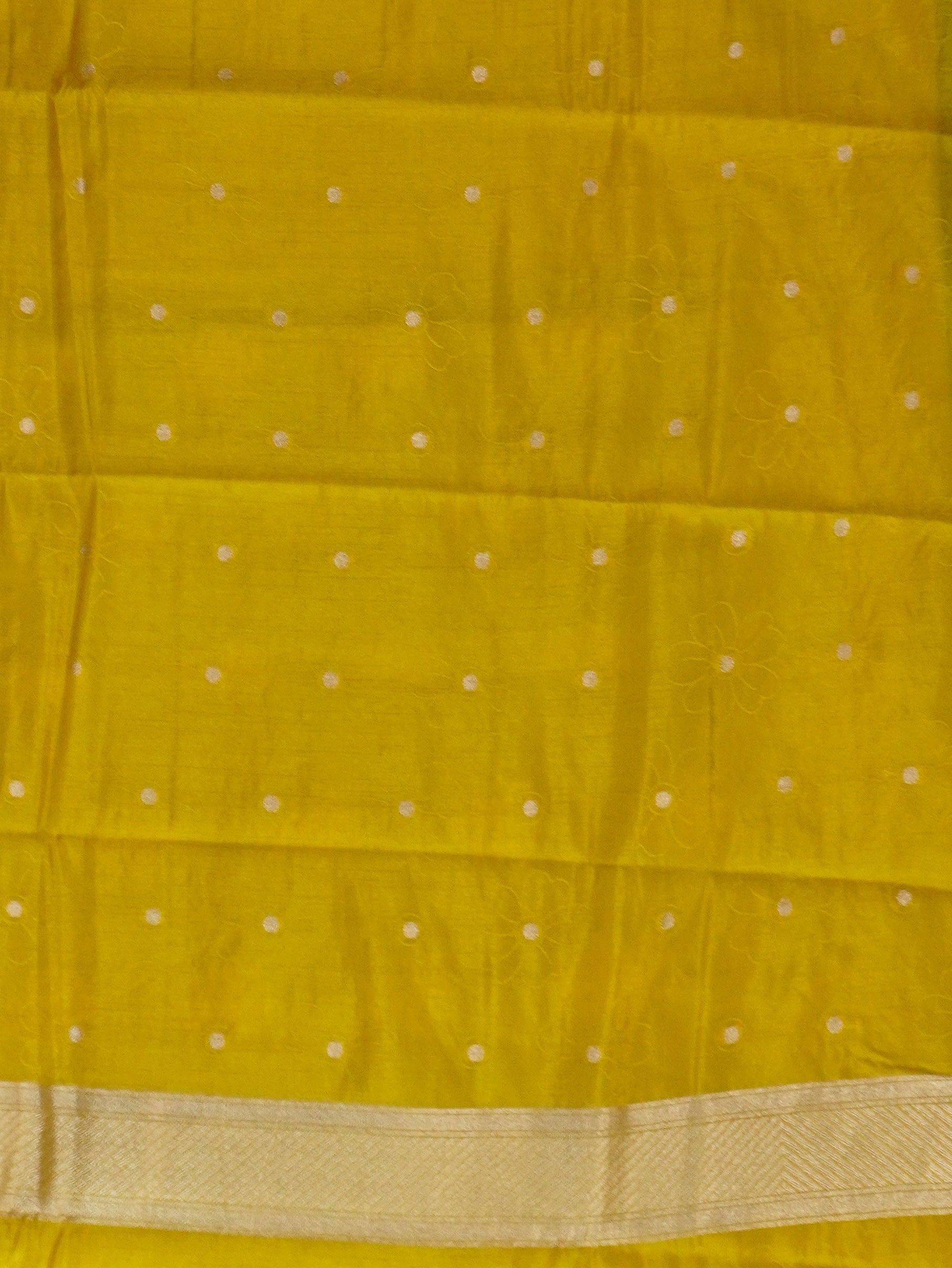 Tissue Tussar Silk Saree | TTDS3510
