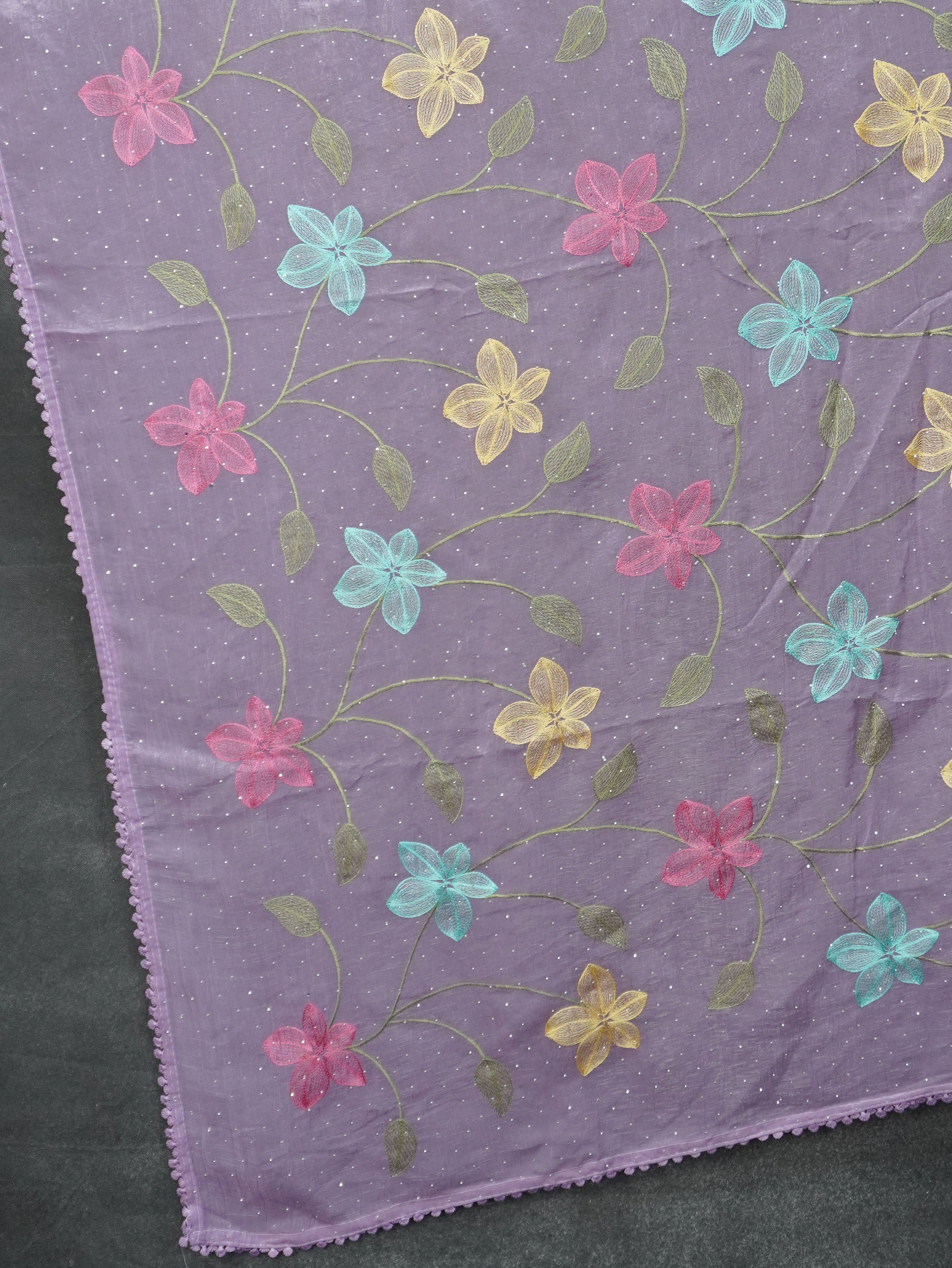 Crushed Organza Saree | TTDS3536