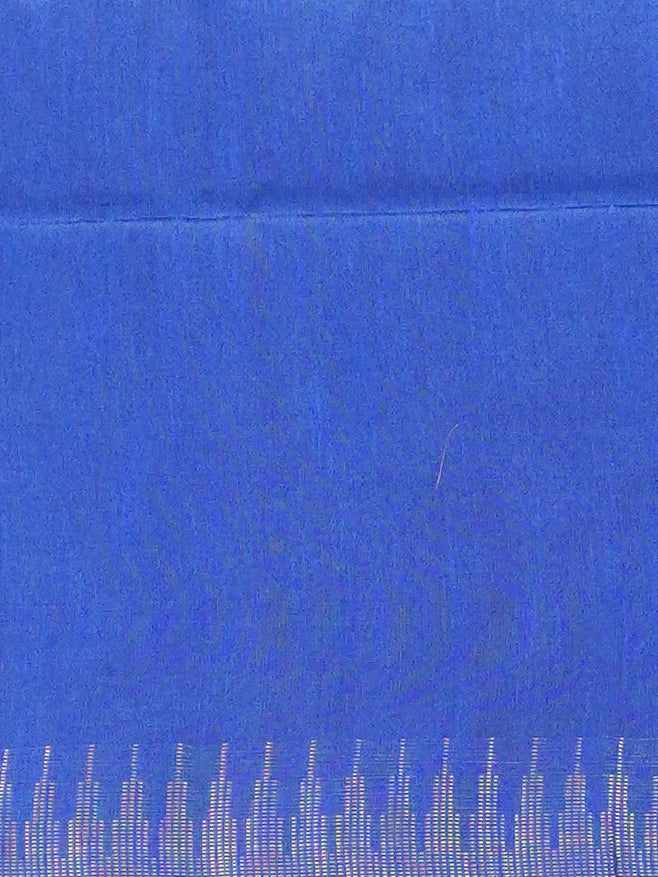 Raw Silk Saree | TTDS3582