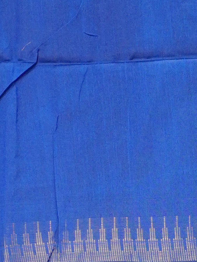 Raw Silk Saree | TTDS3582