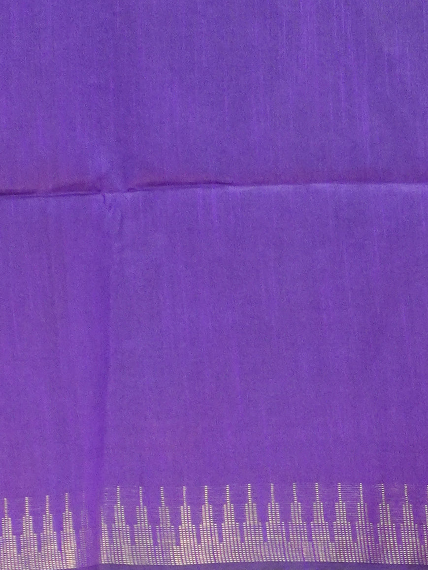Raw Silk Saree | TTDS3582