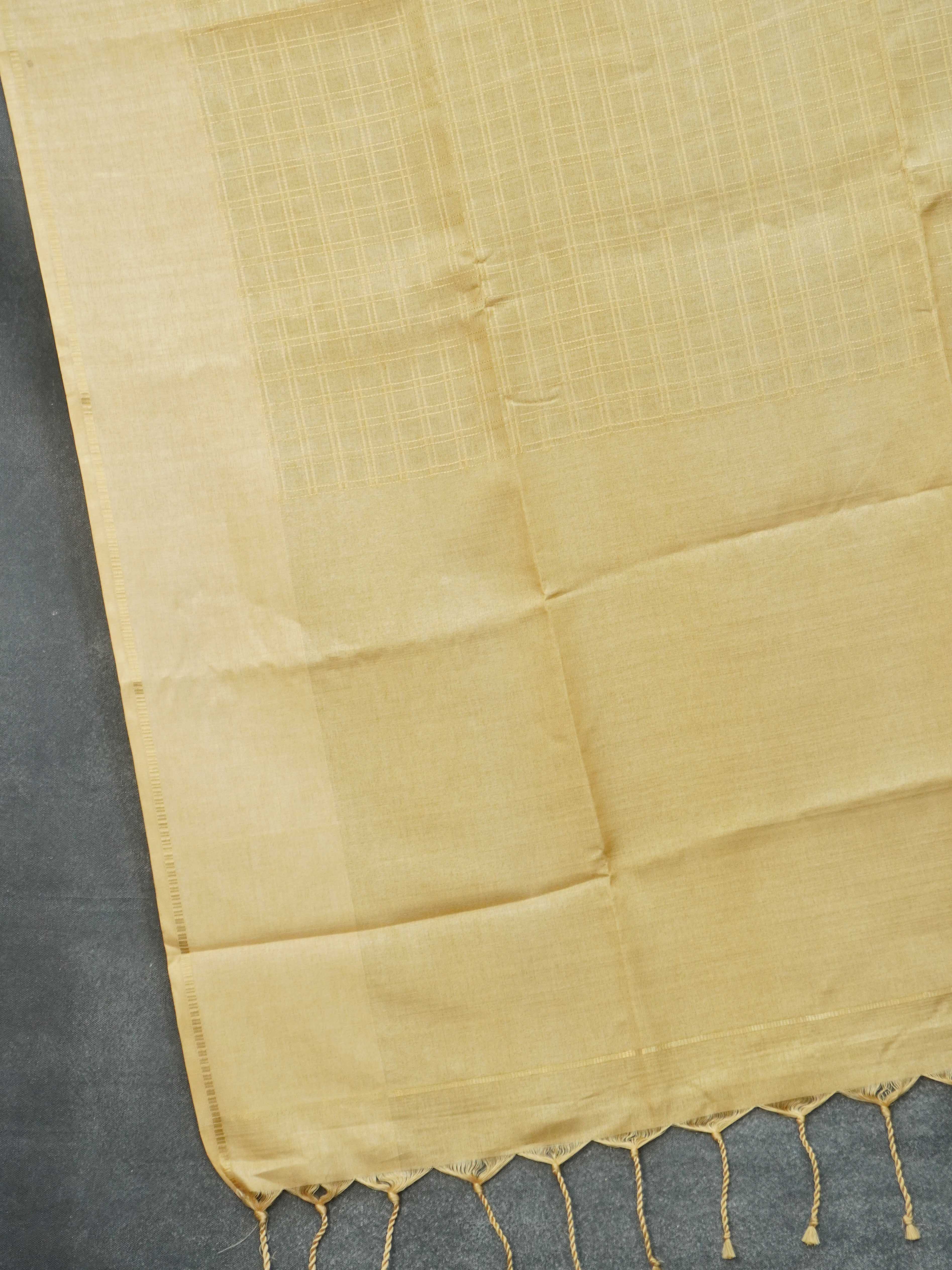 Handloom Matka Silk Saree | TTDS3157