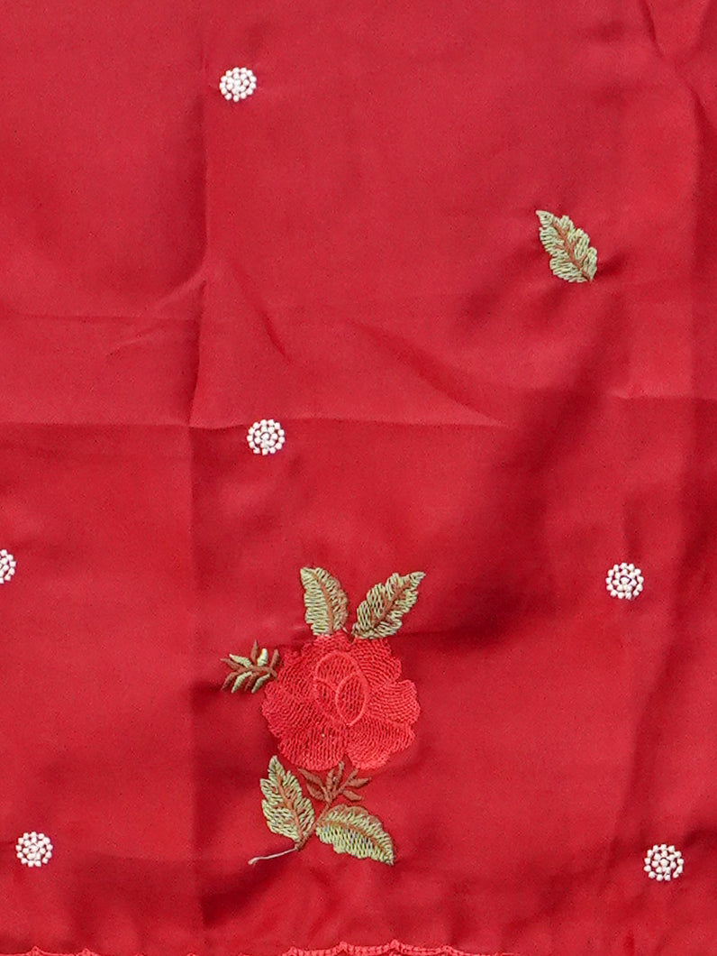 Organza Saree With Tissue Finish | TTDS3485
