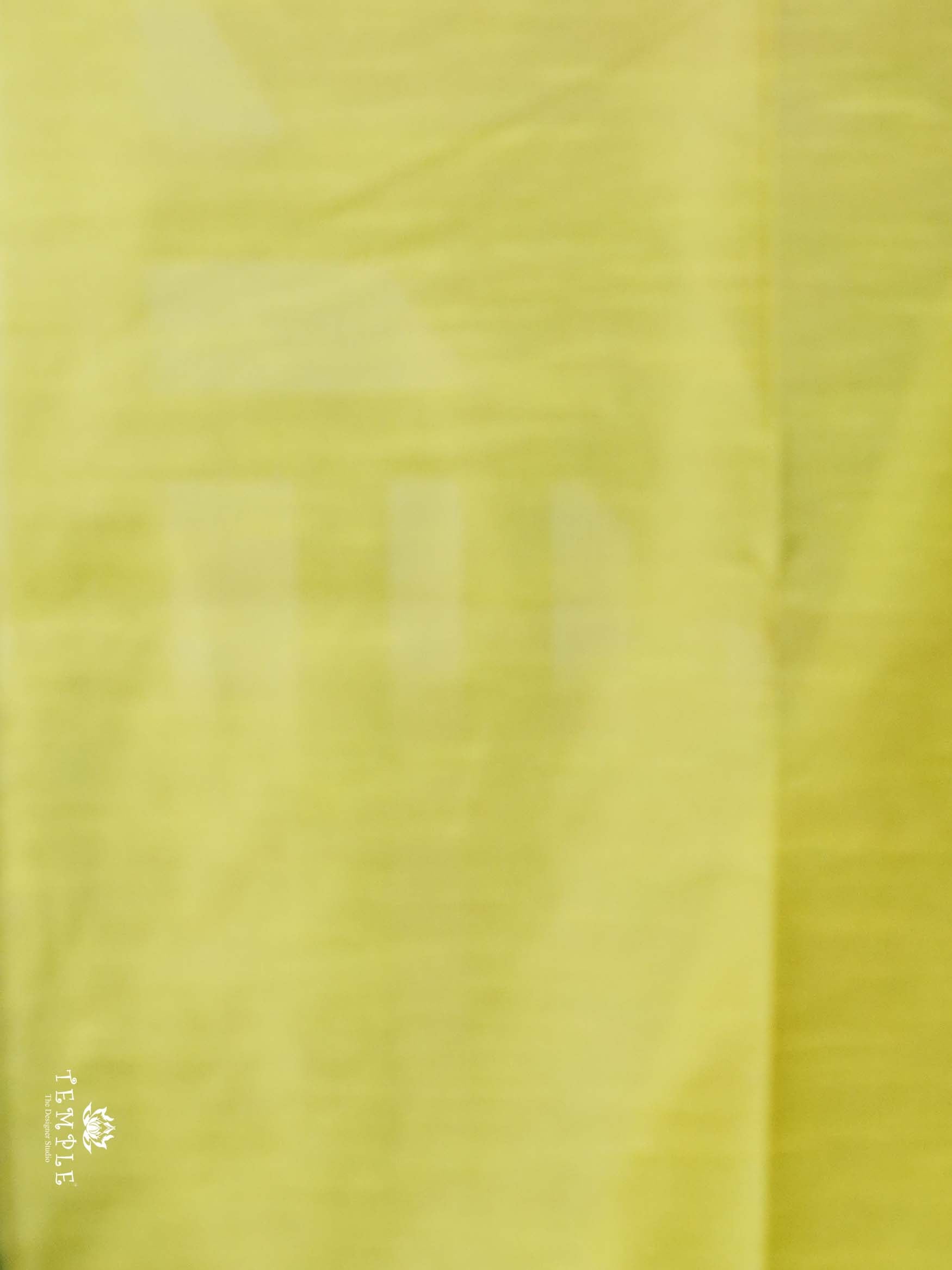 Raw Silk Saree with sequins Work | TTDS2100