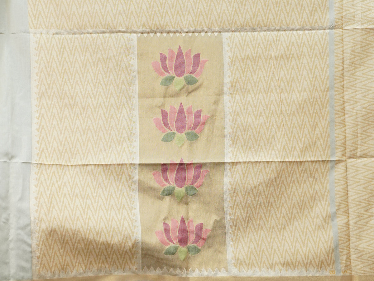Raw Silk Saree | TTDS3594