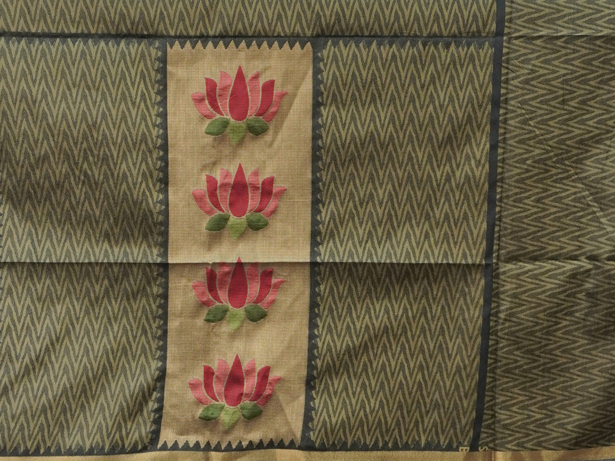 Raw Silk Saree | TTDS3594