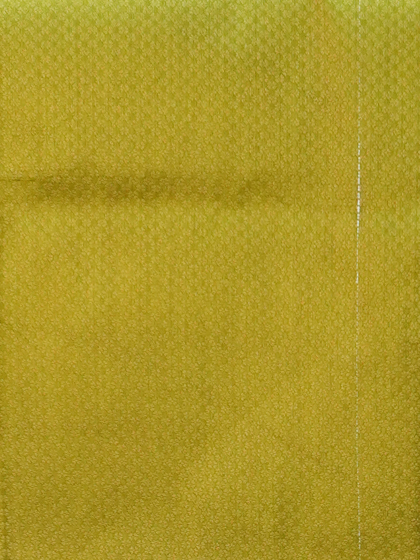 Banarasi Silk Saree | TTDS3603