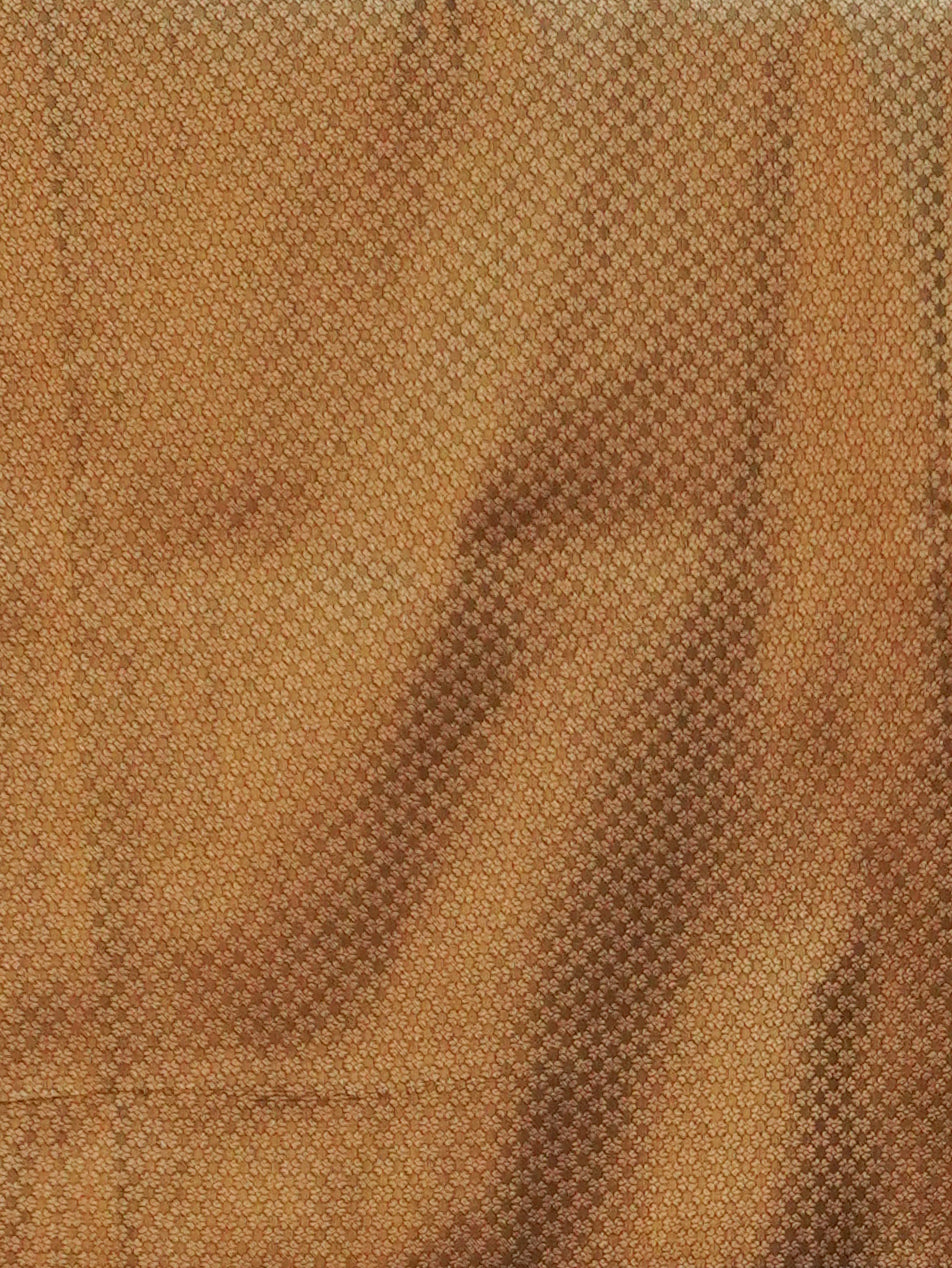 Banarasi Silk Saree | TTDS3603