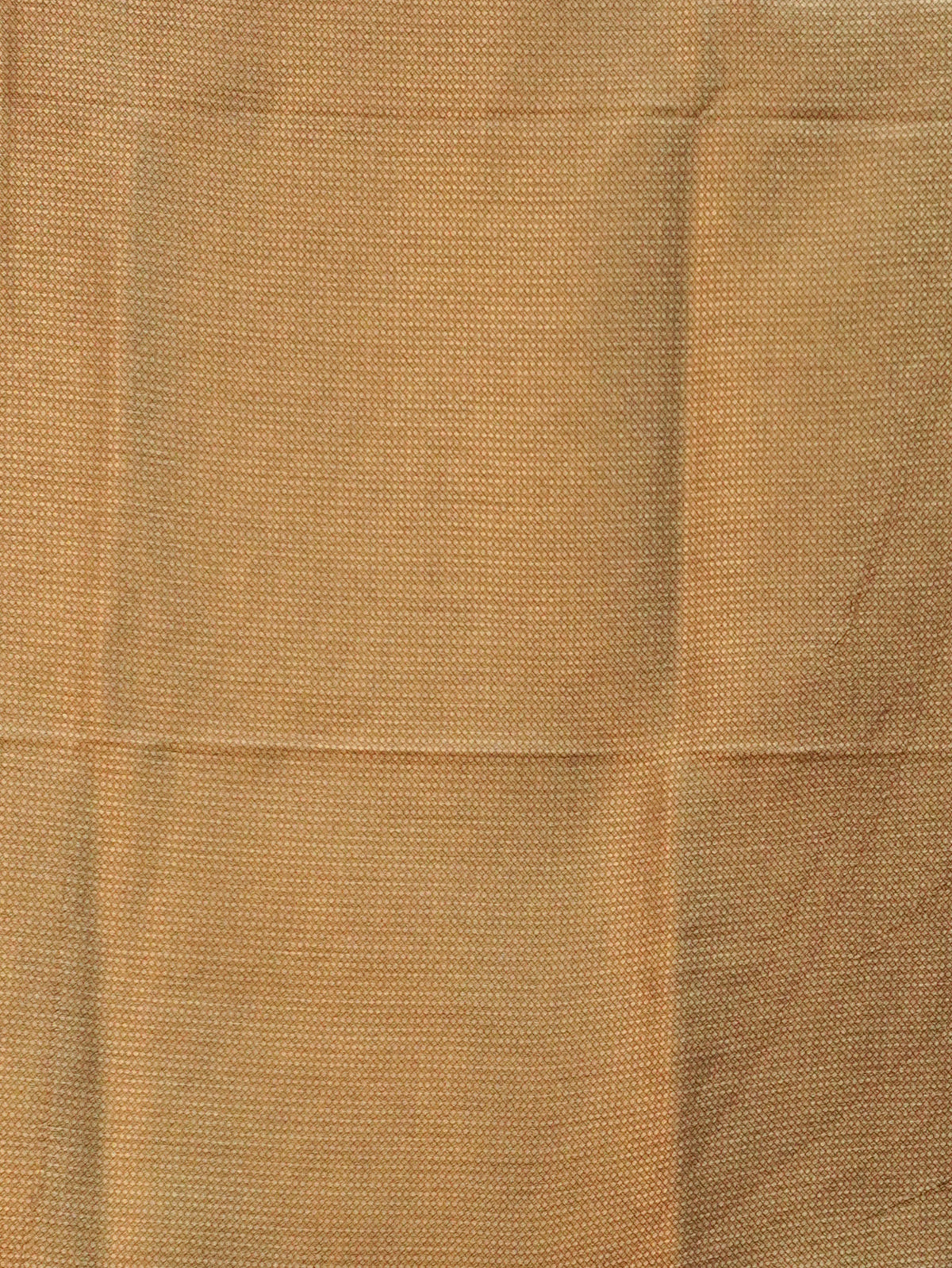 Banarasi Silk Saree | TTDS3672