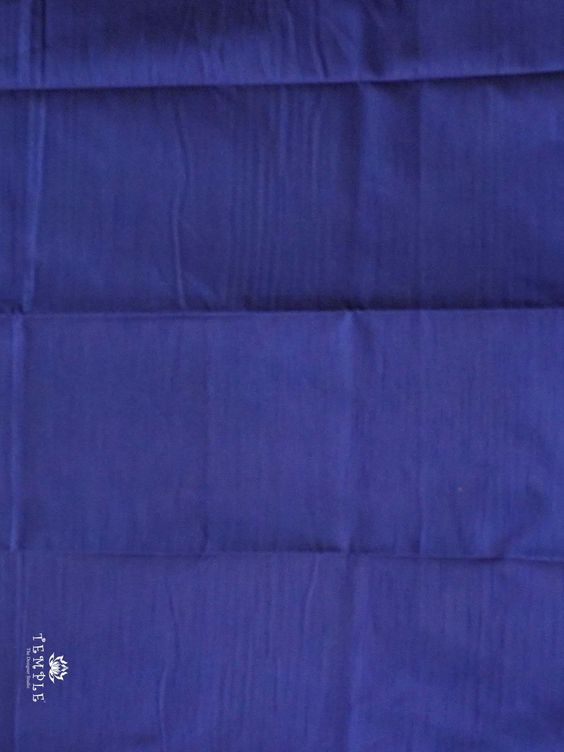 Raw Silk Saree with sequins Work | TTDS2100