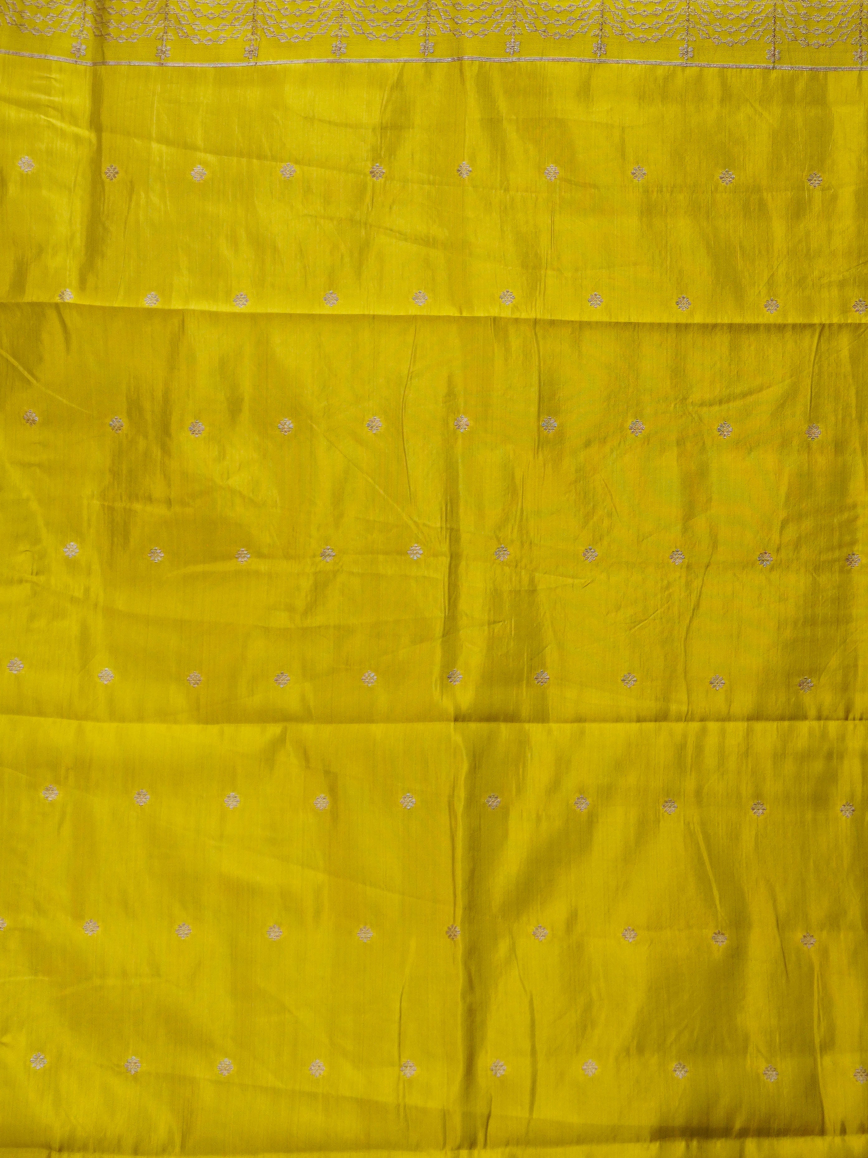 Semi Tussar Silk Saree | TTDS3193