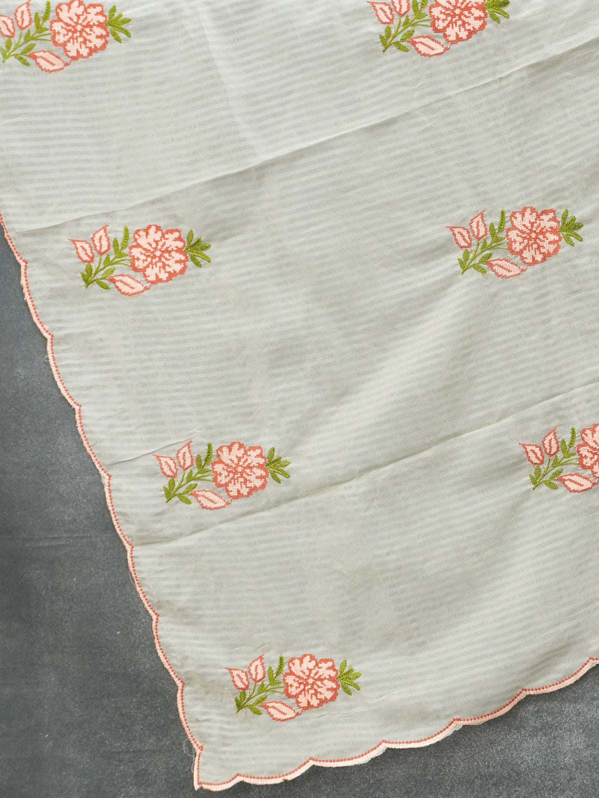 Tissue Organza Saree | TTDS3623