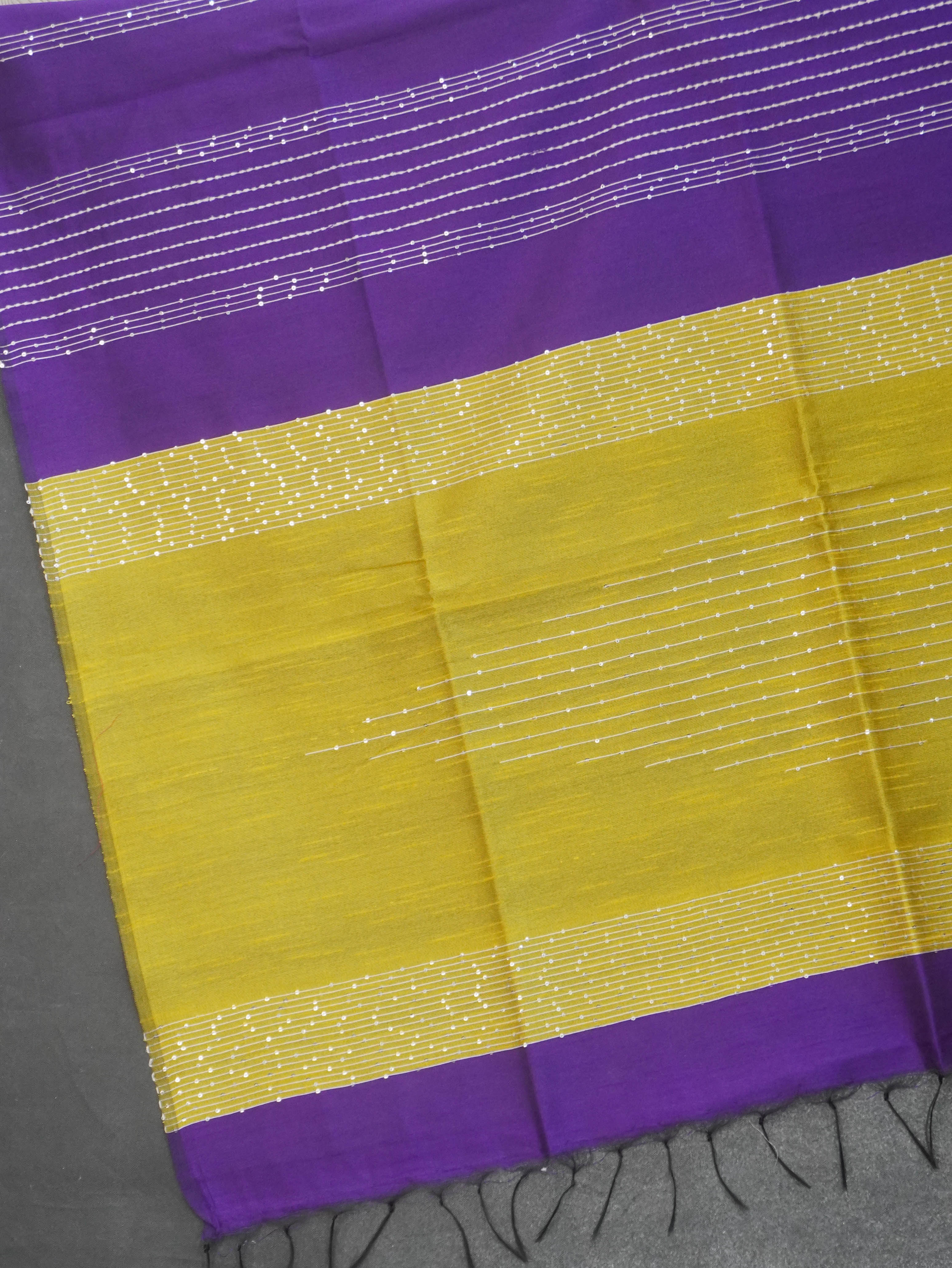 Raw Silk Saree with sequins Work | TTDS2100