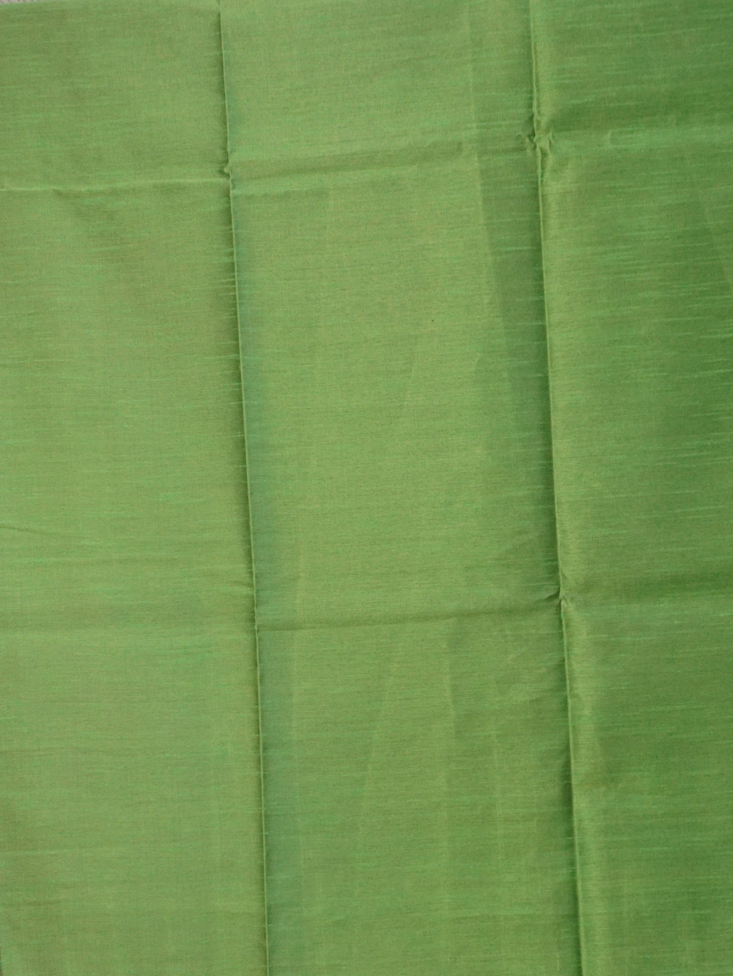 Raw Silk Saree with sequins Work | TTDS2100