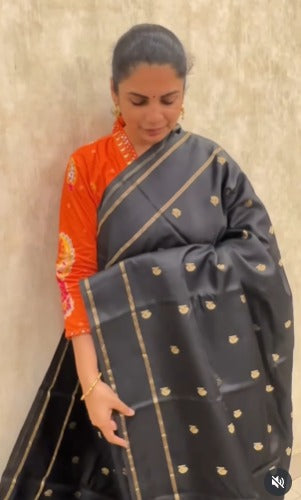 Warm Silk Saree With Annam Motifs ( Black) | TTDS1796